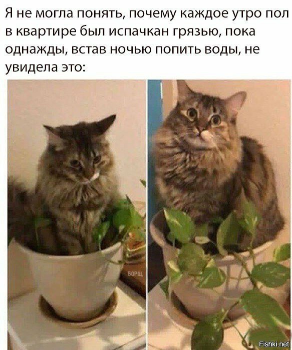 Полтергейст