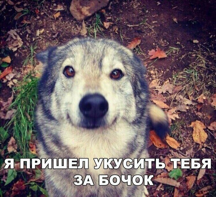 Вчера пел ребенку колыбельную про волка который кусает за бочок. Вот думаю.. этот залижет насмерть