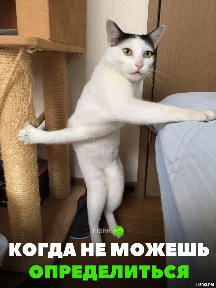 Когда не можешь определится