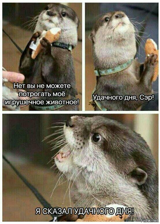 Когда не хочешь, чтобы трогали твои вещи