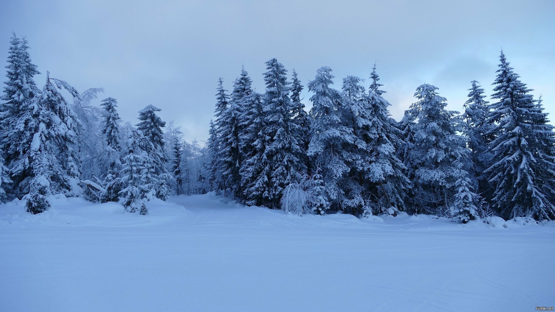 Зимняя сказка в Тахко, Финляндия