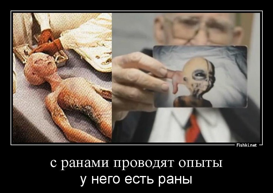 с ранами проводят опыты