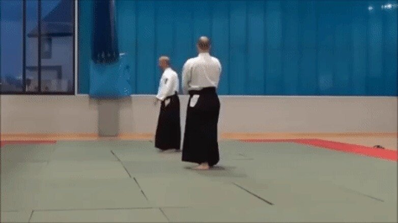 мастер айкидо показывает лучшую технику защиты против меча