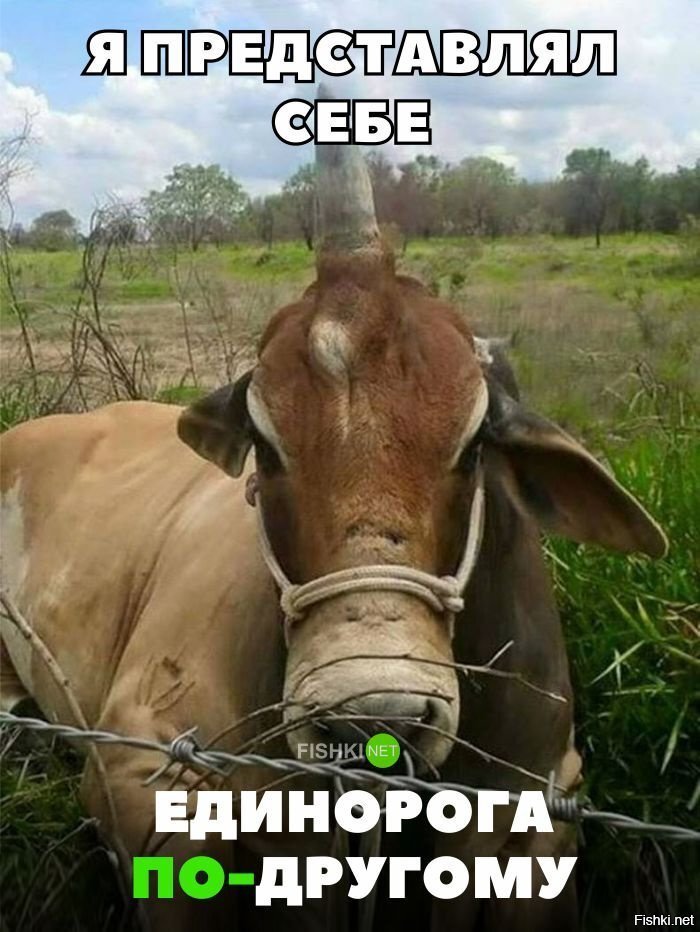 Я представлял единорогов иными
