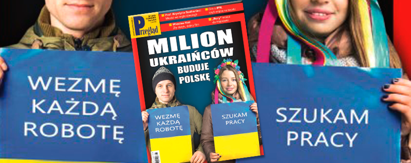 Украинские бойцы за экономику Польши несут ежедневные потери