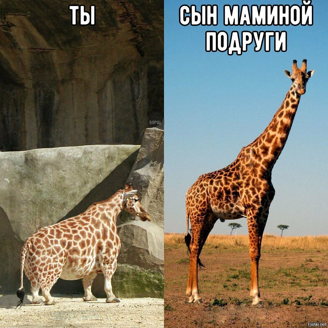 Жизненно