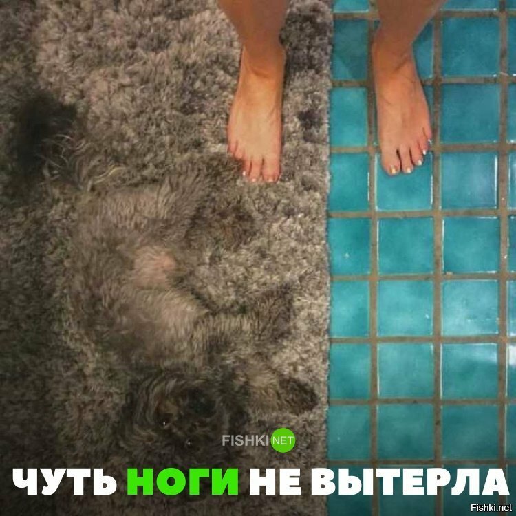 Чуть ноги не вытерла