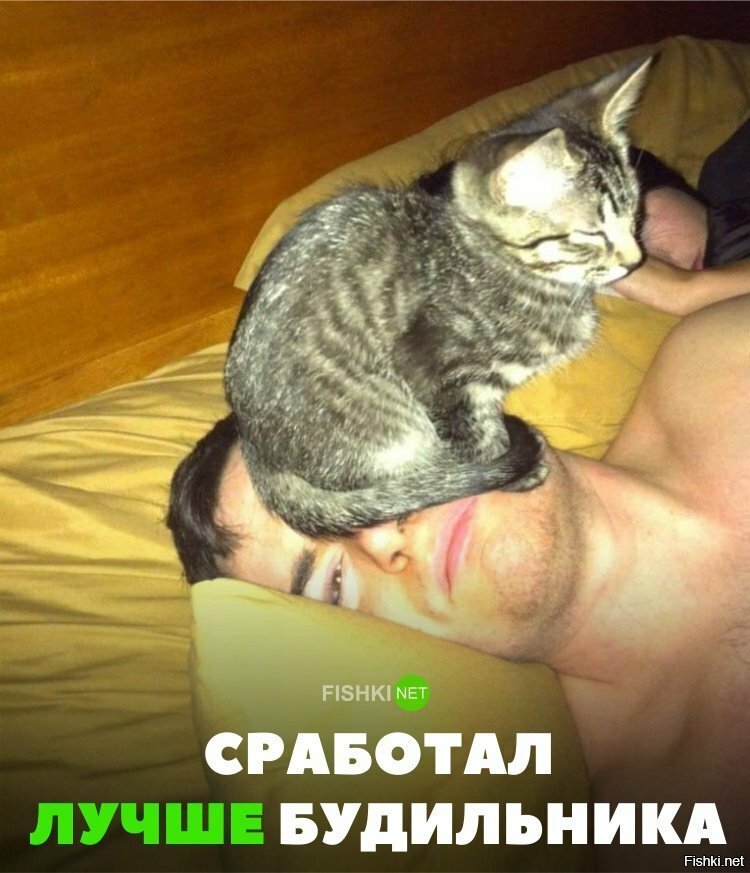 Лучший будильник