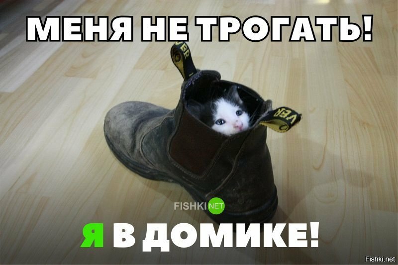 Меня не трогать,я в домике