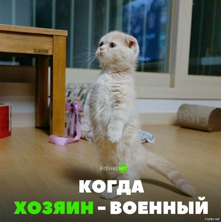 Когда хозяин - военный