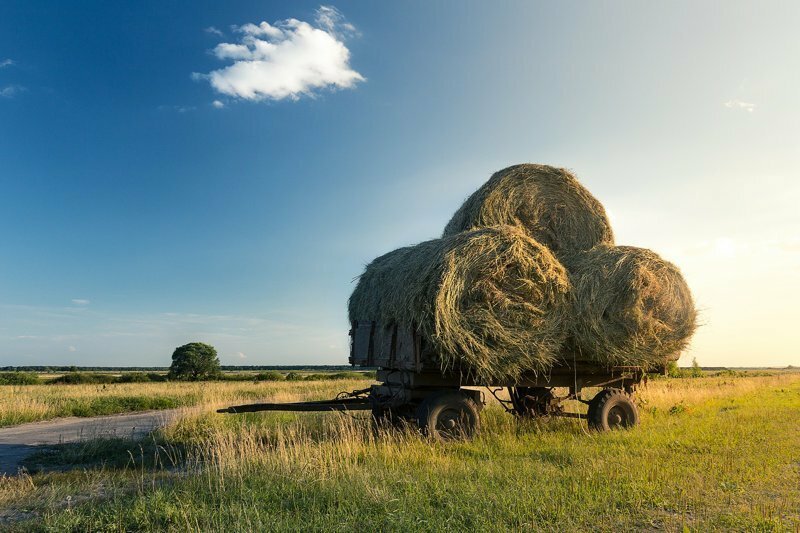 Красота (и пустота) русских полей