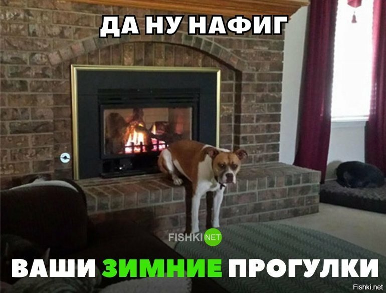 Ну нафиг зимние прогулки