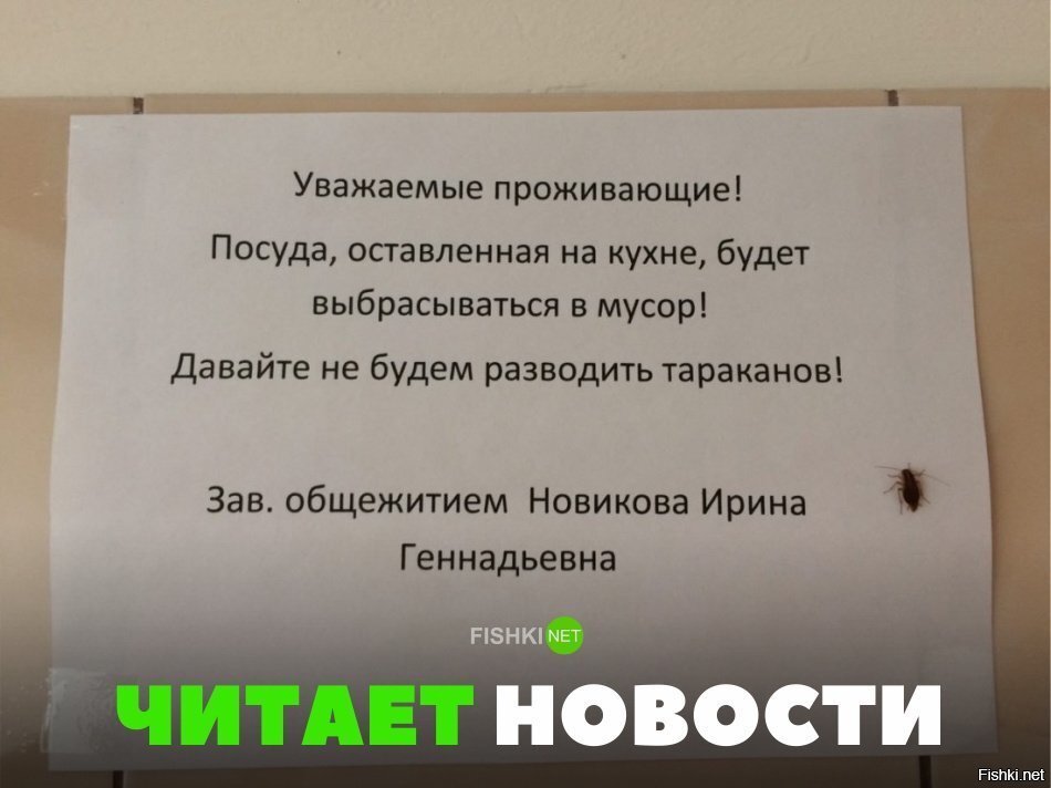 Читает новости