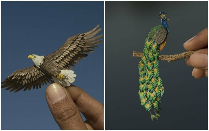Индийские художники каждый день создают миниатюрных птиц из бумаги