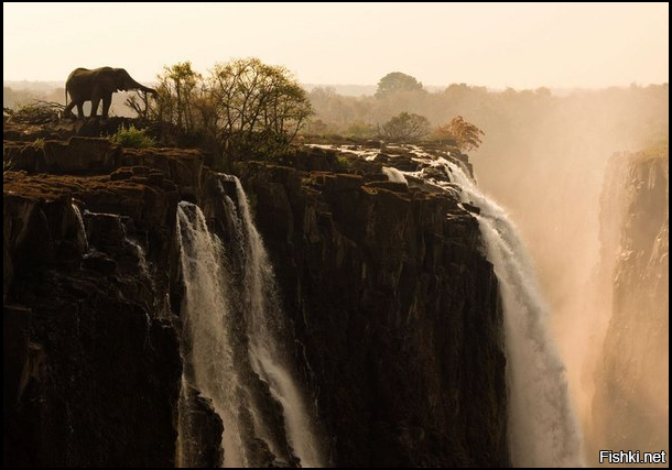 На водопаде Виктория (река Замбези в Южной Африке)