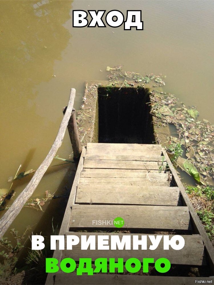 В приёмную к водяному
