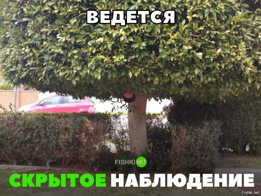 Скрытое наблюдение
