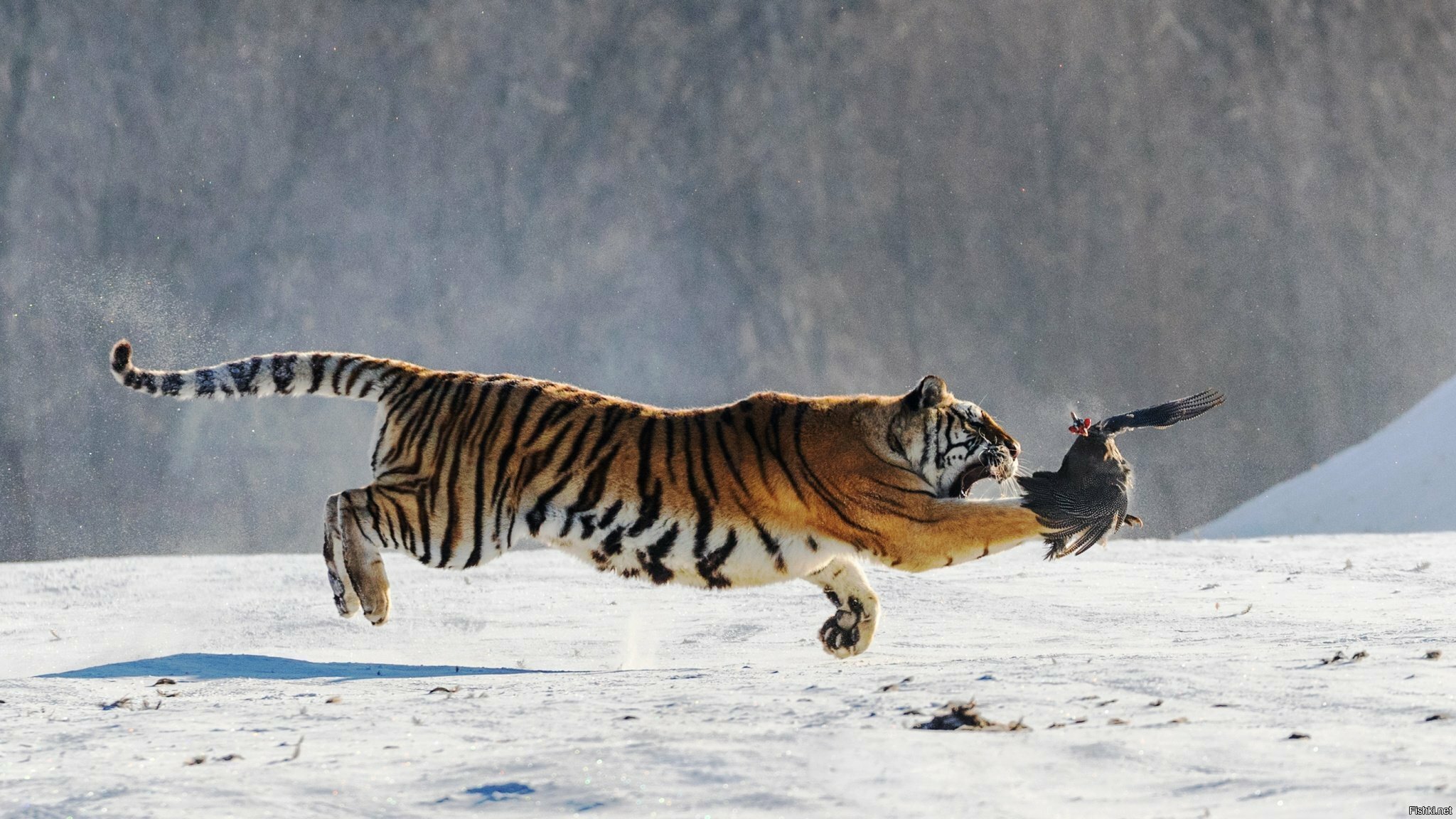 В полёте