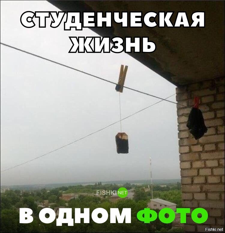 Студенческая жизнь