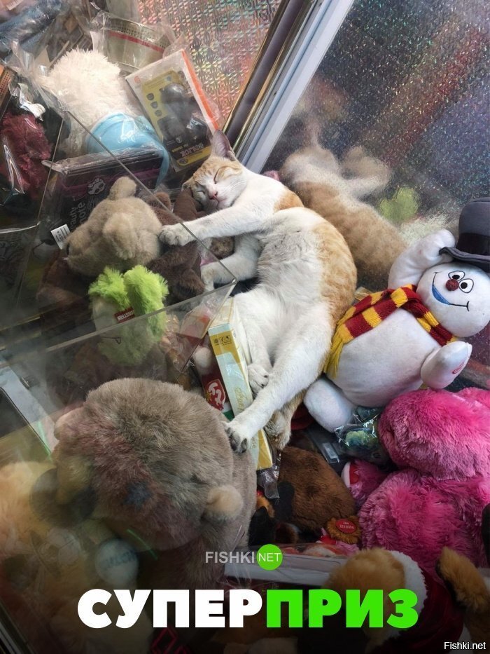 Супер приз