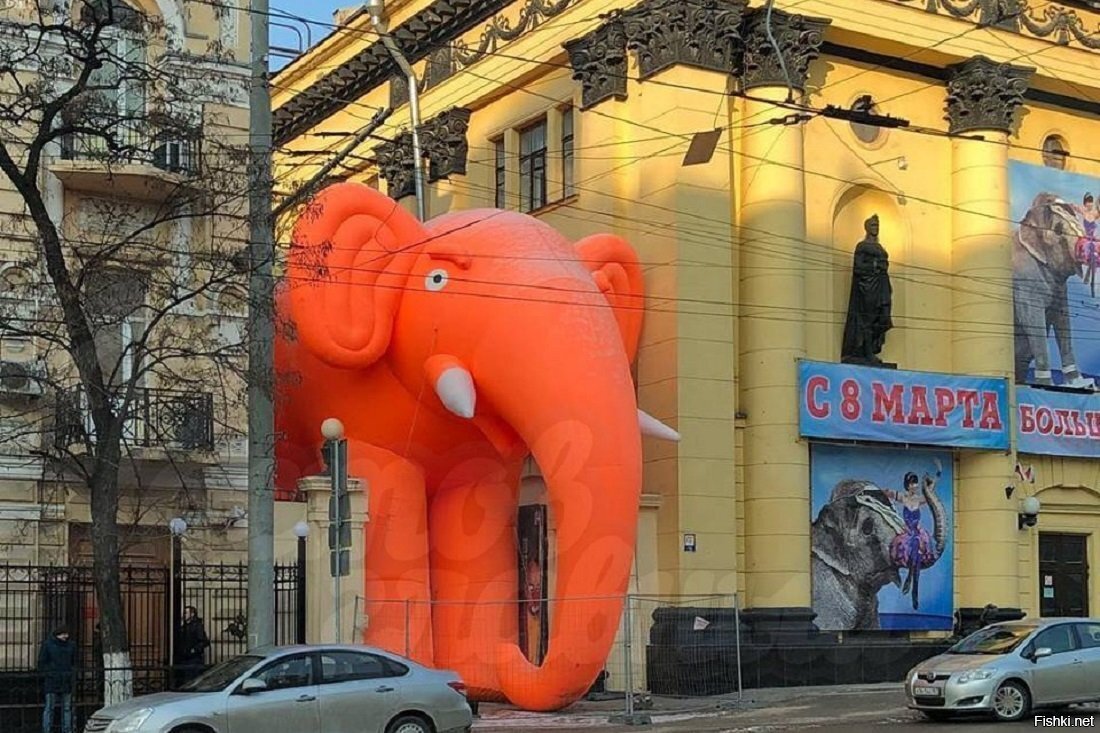 За зданием ростовского цирка расположился огромный надувной оранжевый слон