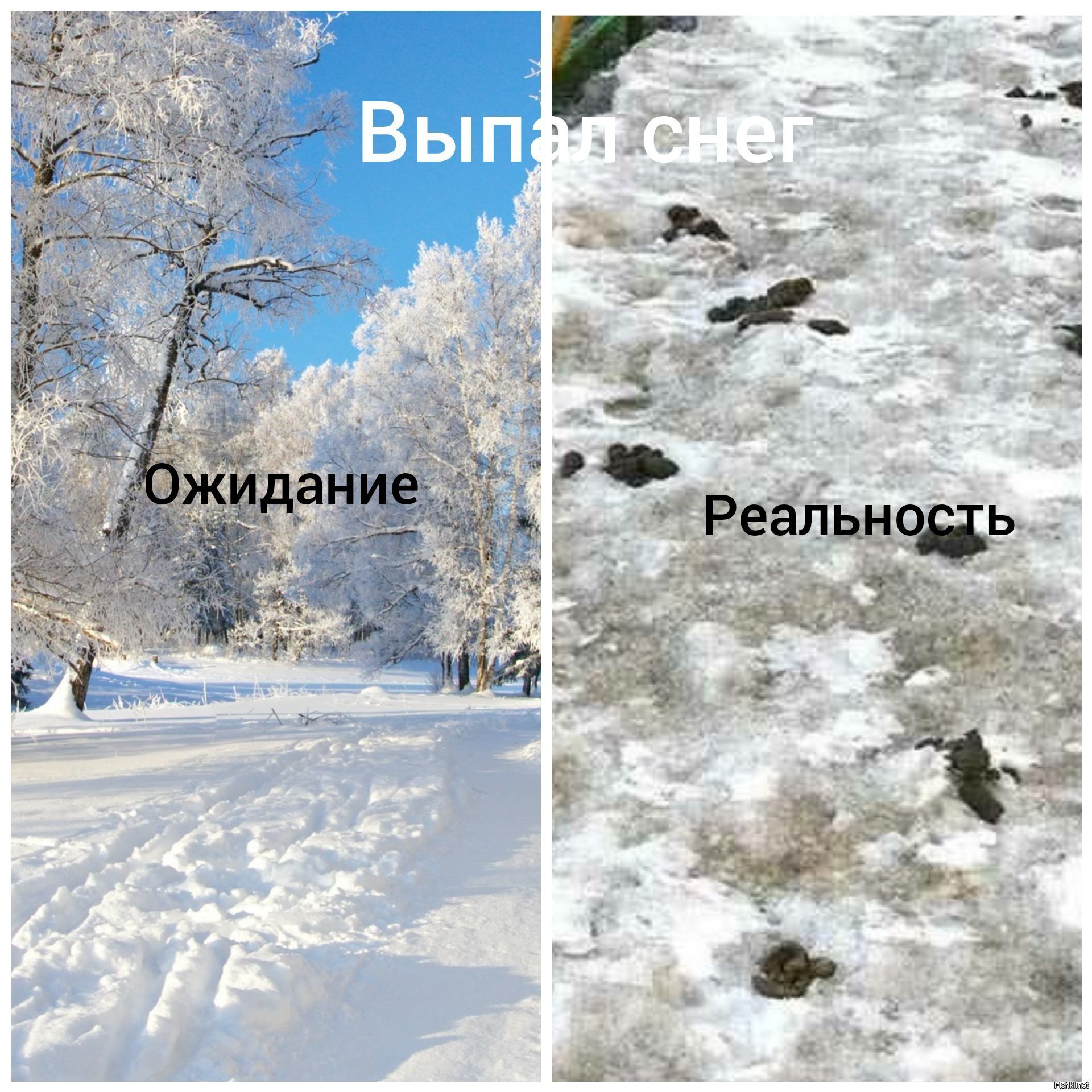 Снегопаду в Москве посвящается