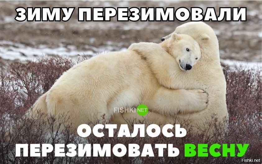 Осталось перезимовать весну