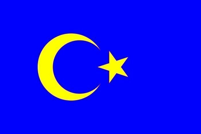 В Швеции предложили новый проект государственного флага с полумесяцем и звездой