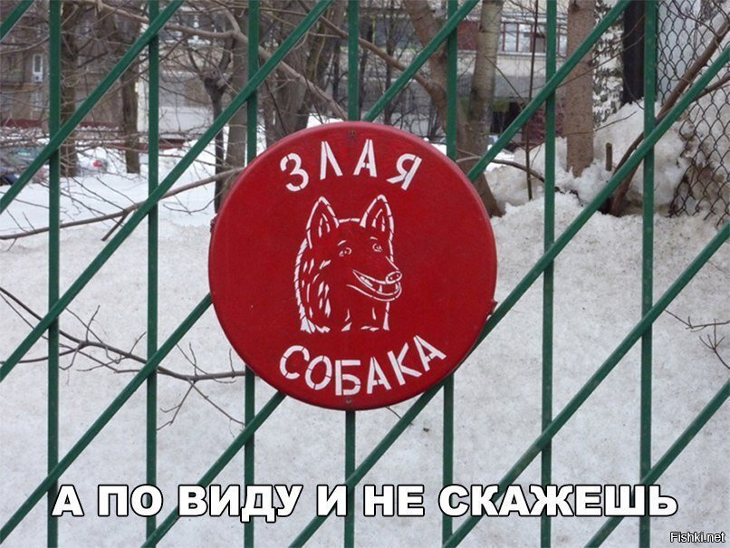 По виду и не скажешь