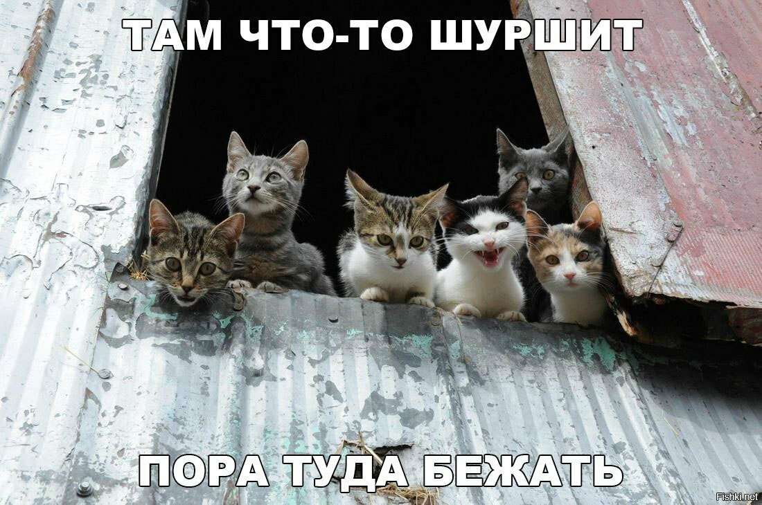 Пора туда бежать