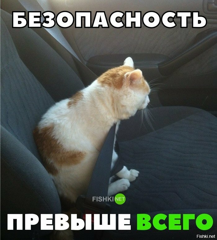Безопасность превыше всего