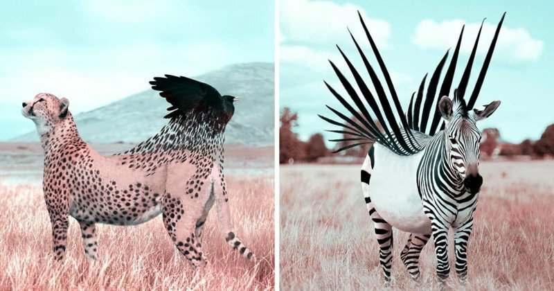 В мире сюрреализма: фантастические портреты животных, созданные французским художником в Photoshop