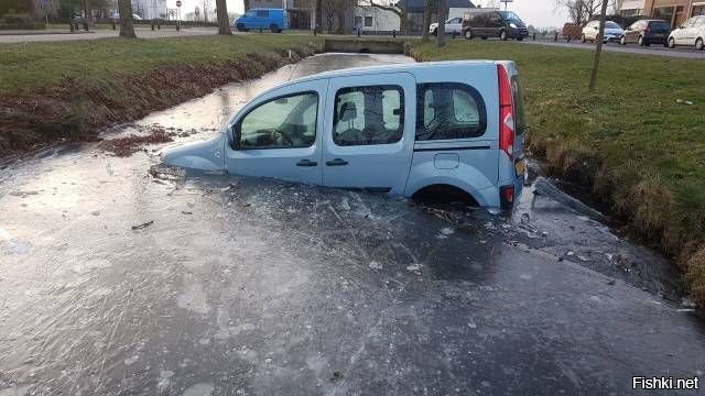Водопой