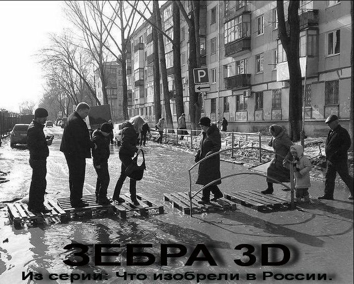 Зебра 3D