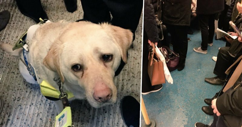 Слепой мужчина остался в 'слезах' после того, как никто не уступил ему место в метро