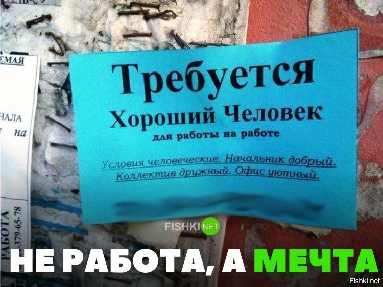 Не работа, а мечта