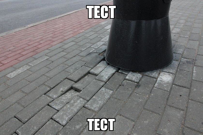 Тест