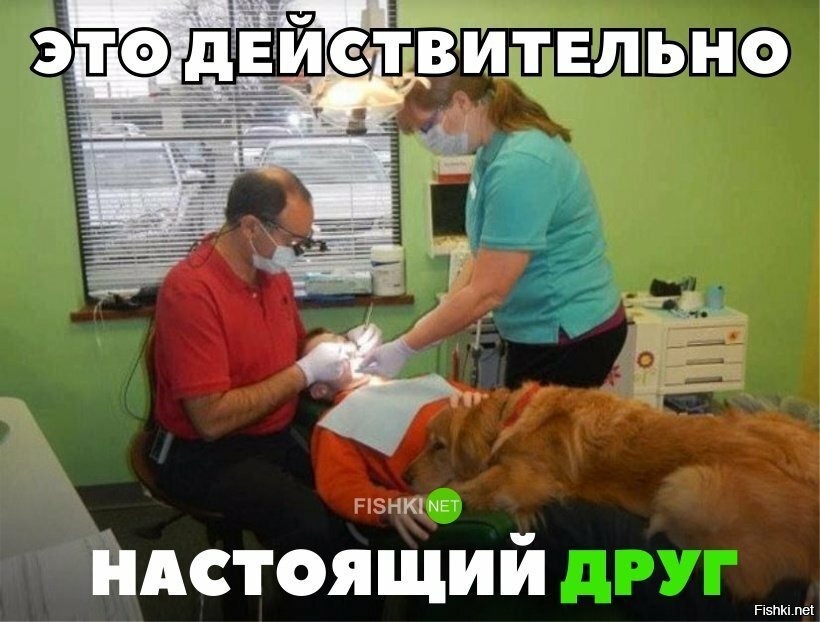 Настоящий друг