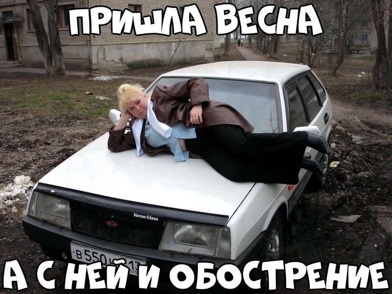 Автовсячина