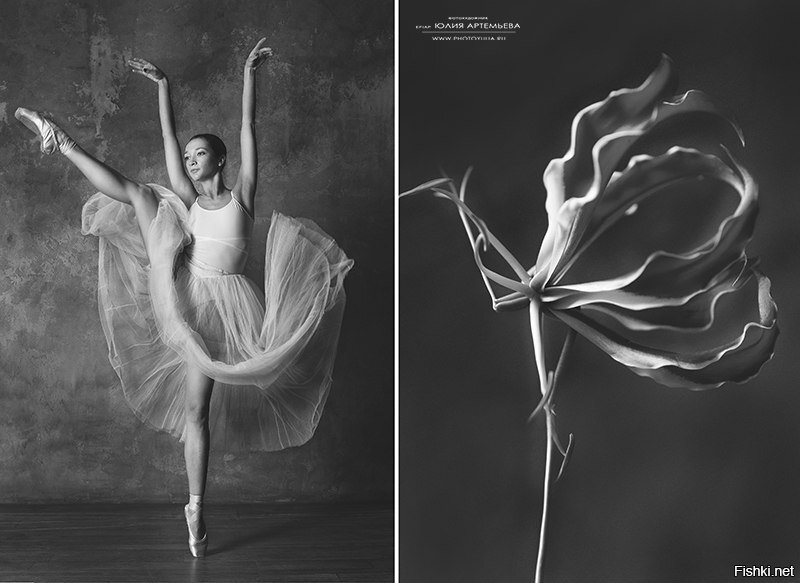 Цветы и балерина