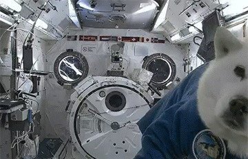 С Днём космонавтики!