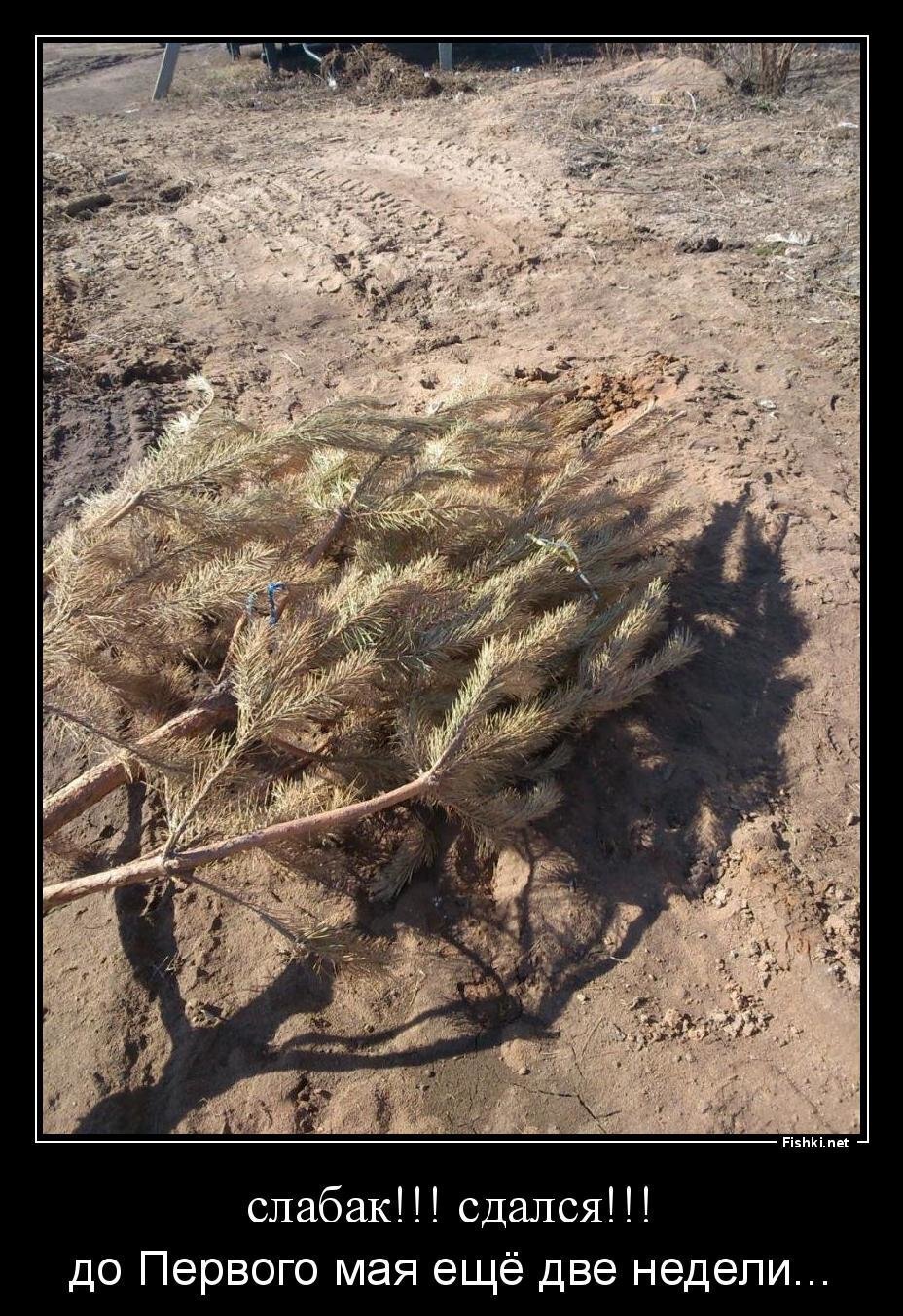 это снято сегодня