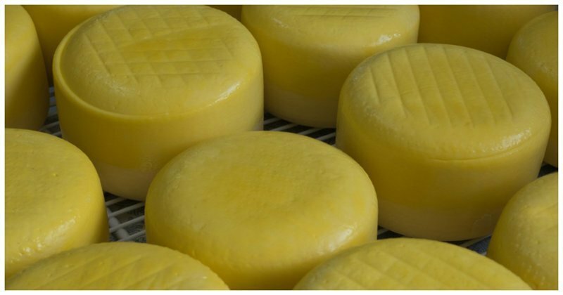 В России могут запретить "ненастоящий сыр"