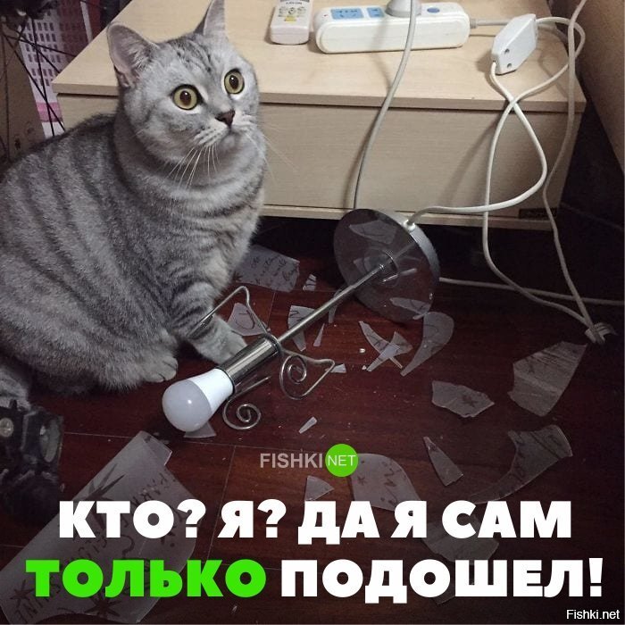 И так всегда