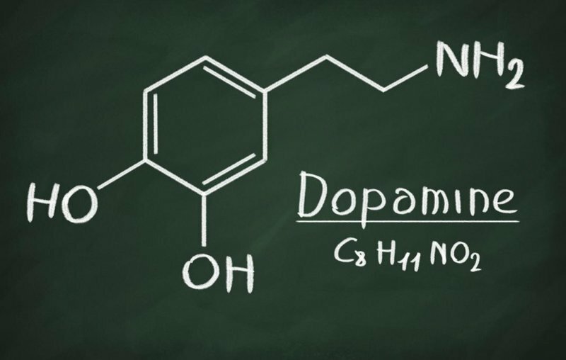 Дофамин и дофаминовый сбой