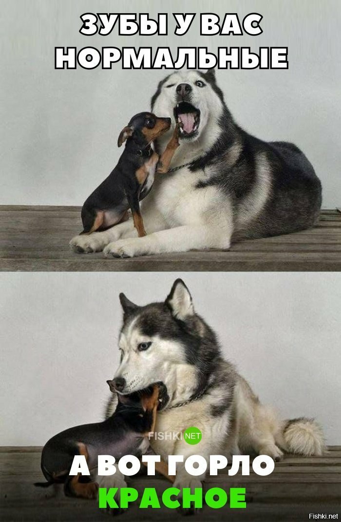 Доктор Пёська