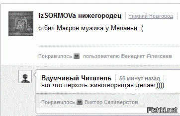 Каменты под новостью о том, что Трамп не успел купить Меланье подарок на день...