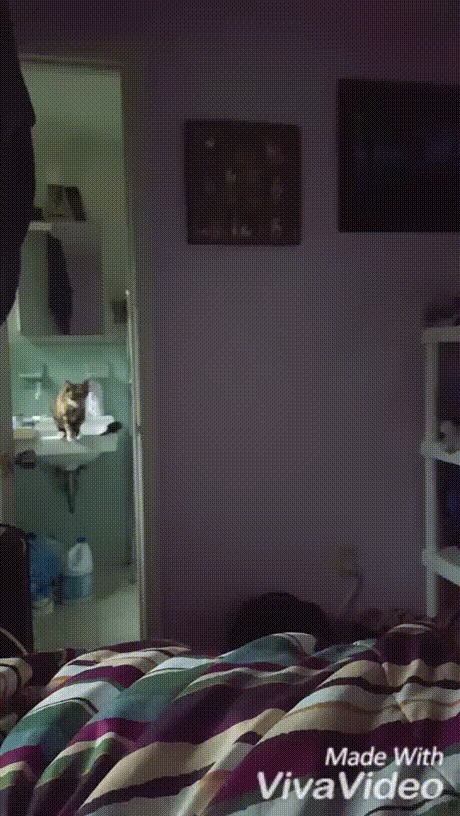 А мне летать охота