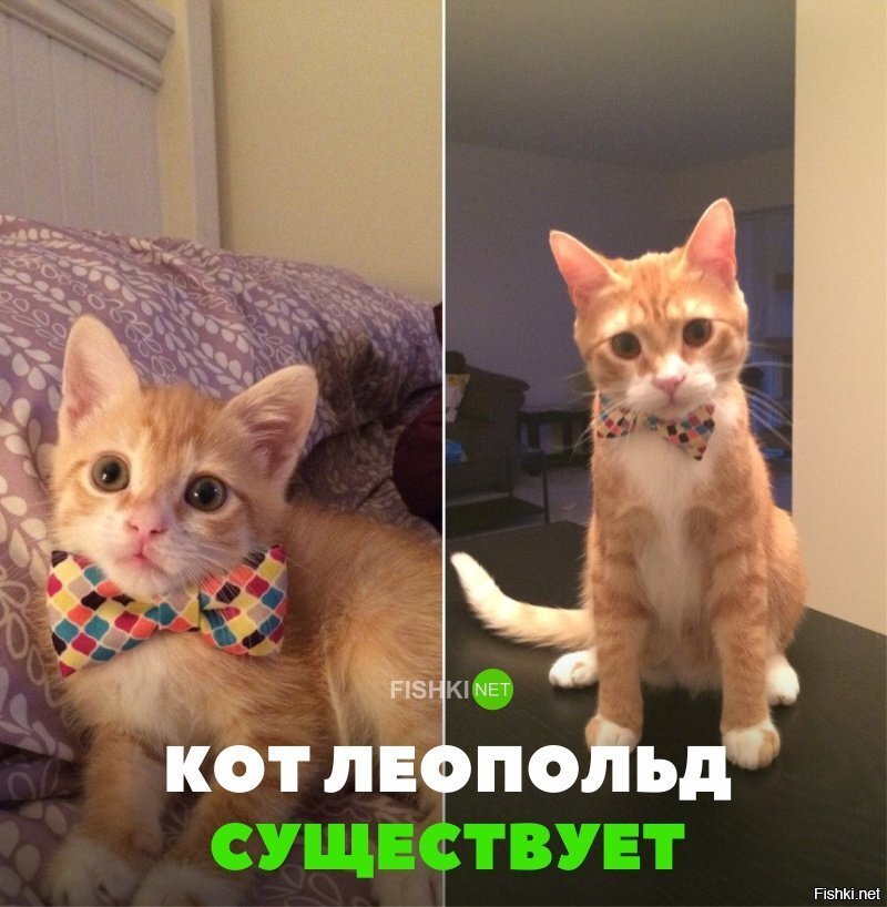 Он существует)