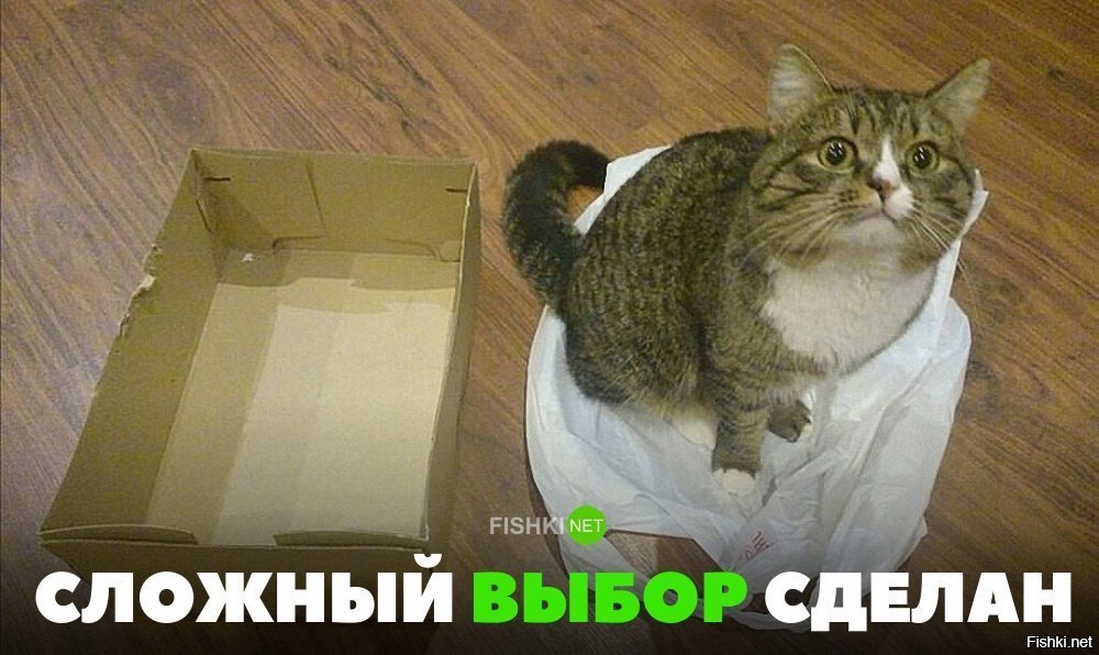 Сложный выбор